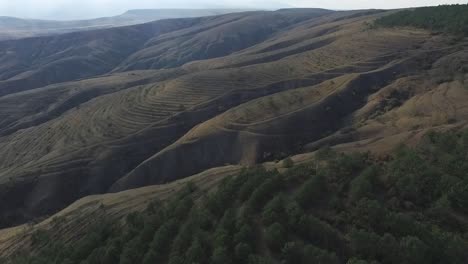 aerial view of terraced hills and forest