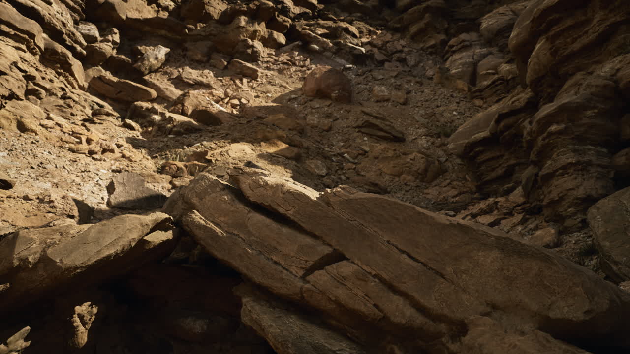 Rocky terrain showcasing erosion patterns under bright sunlight