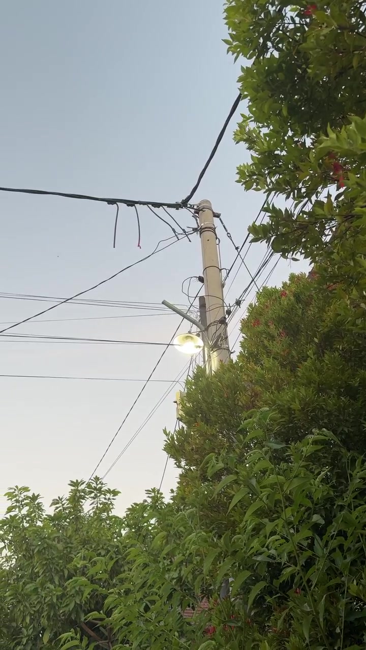 Illuminated Street Light on Utility Pole at Dusk
