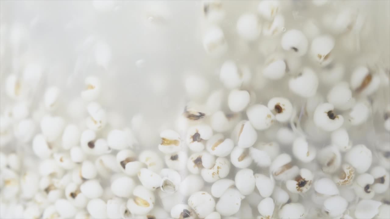 기장이나 욥의 눈물, 끓는 물에 끓는 기장, 고온