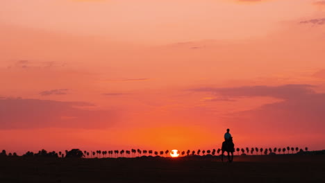 silhouette of girl riding horse at sunset with clear lighting sky in background