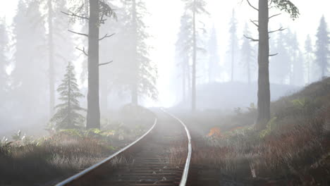 El-Ferrocarril-Vacío-Atraviesa-Un-Bosque-Nublado-Por-La-Mañana