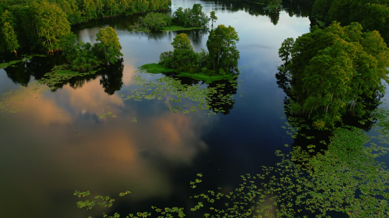 Aerial over small tree covered islands in a reflective river with yellow water lily and golden orange clouds on water
