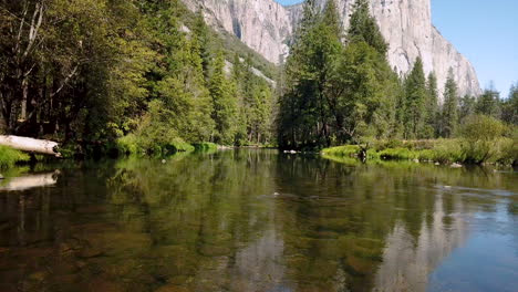 video de drones de un lago en medio de una jungla en un día soleado