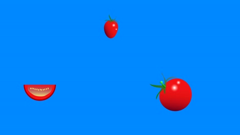 tomatoes group graphic elements animation, seamless loop, blue screen chroma key