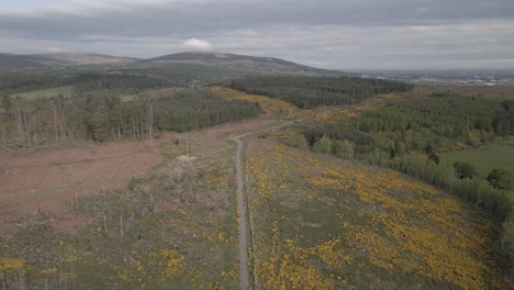 Sendero-Para-Caminar-Dentro-Del-Parque-Carrickgollogan-Bajo-Un-Clima-Nublado-En-Irlanda