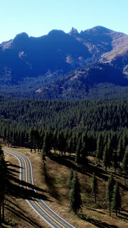 scenic mountain road through a lush forest