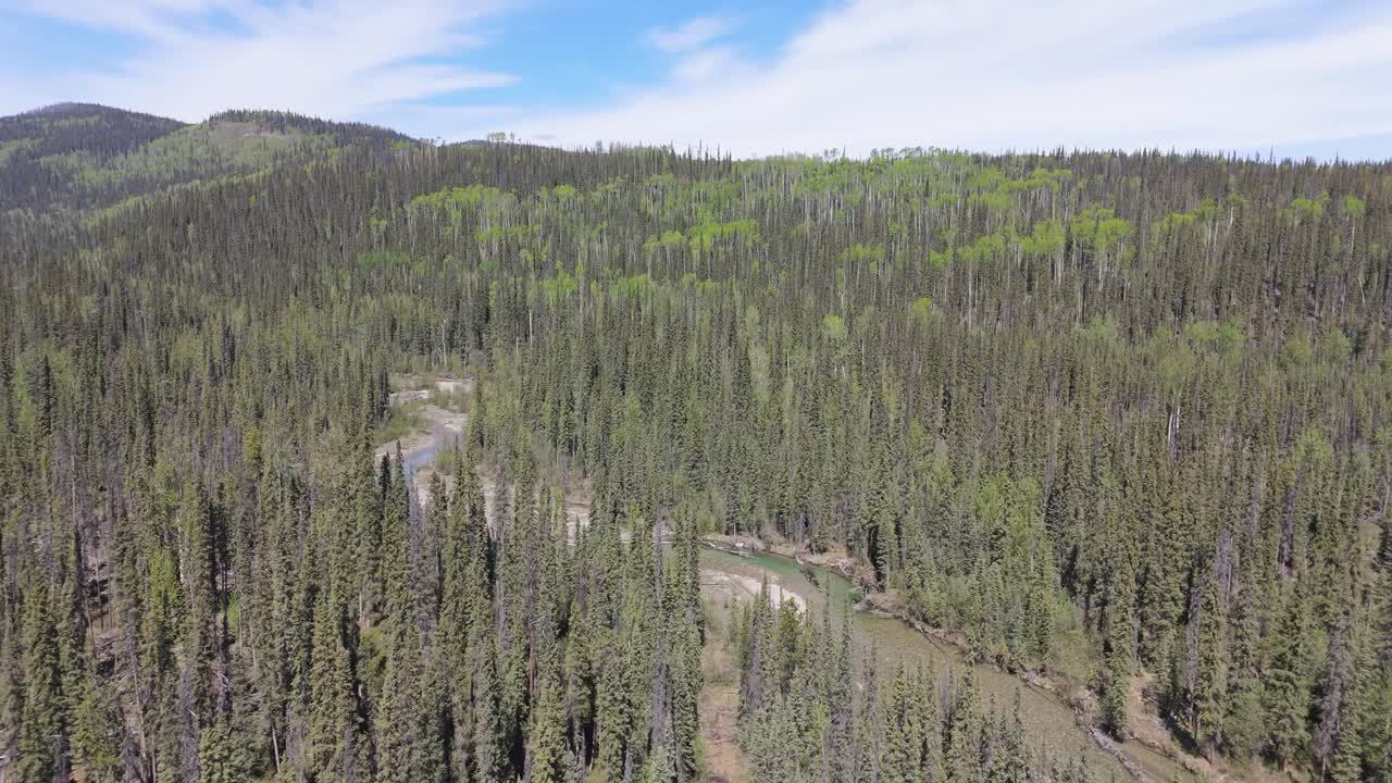 Drone footage of deforestation in the Canadian forest