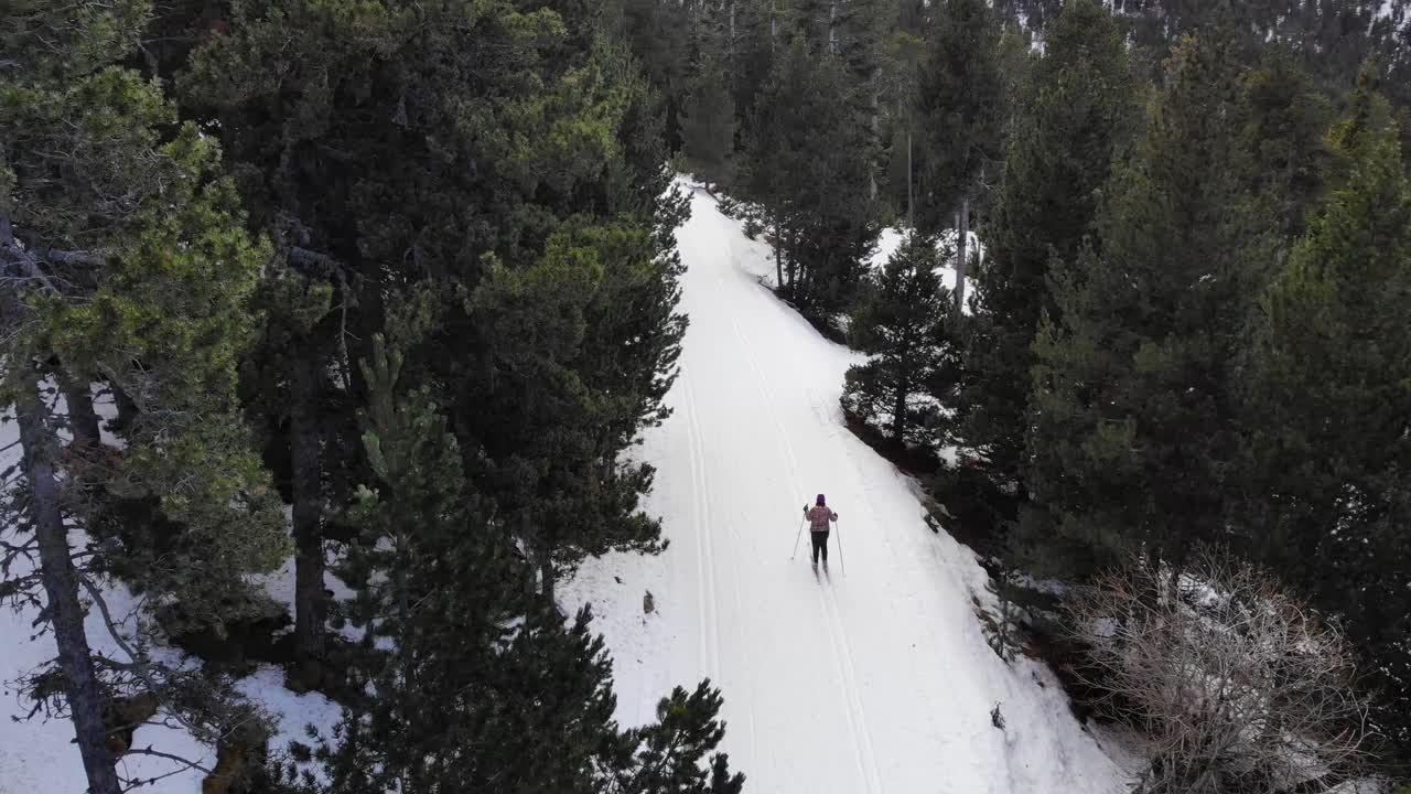 antena: esquiador de fondo aficionado siguiendo una pista de esquí en el bosque visto desde arriba