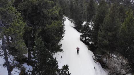 aerial: amateur cross-country skier following a ski trail into the woods seen from above