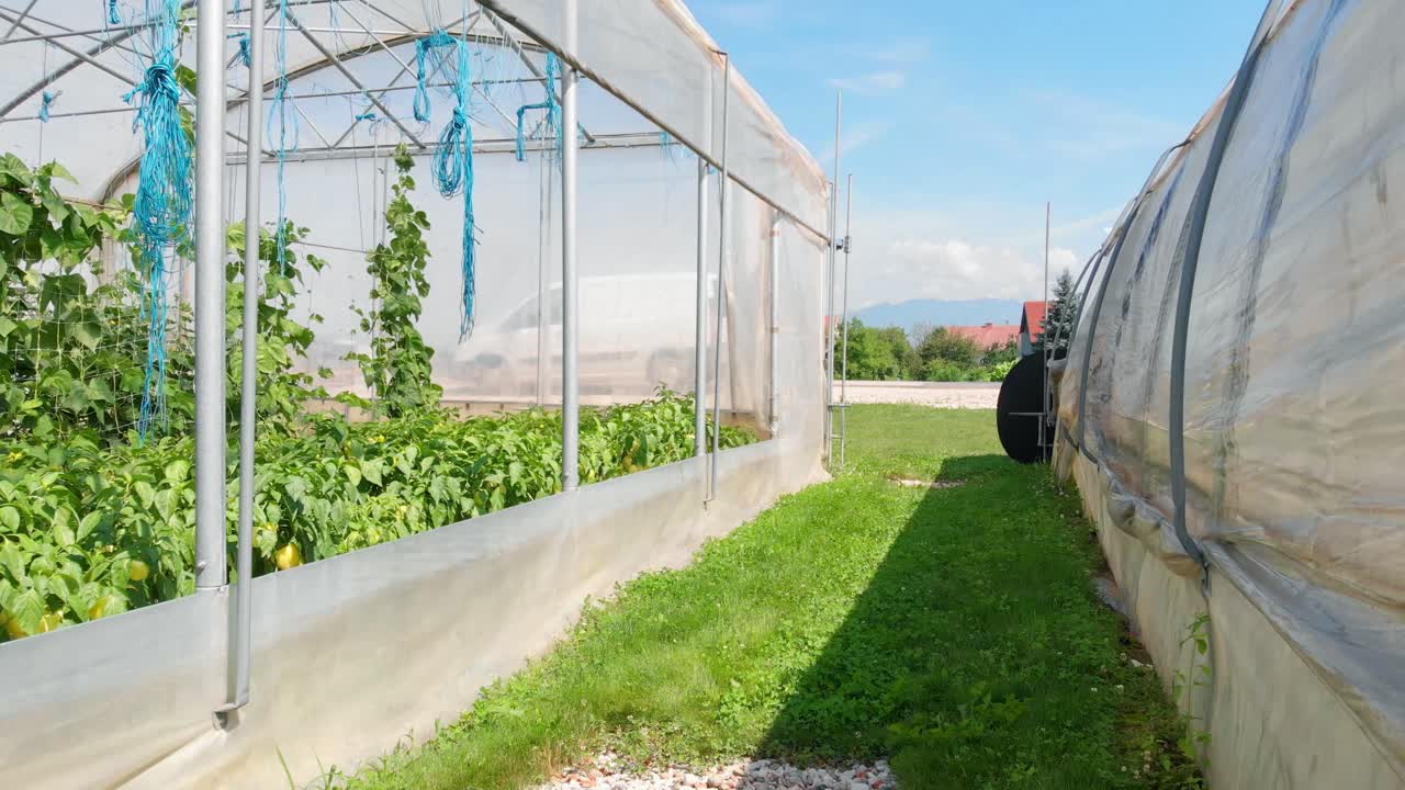 약간 열려있는 온실