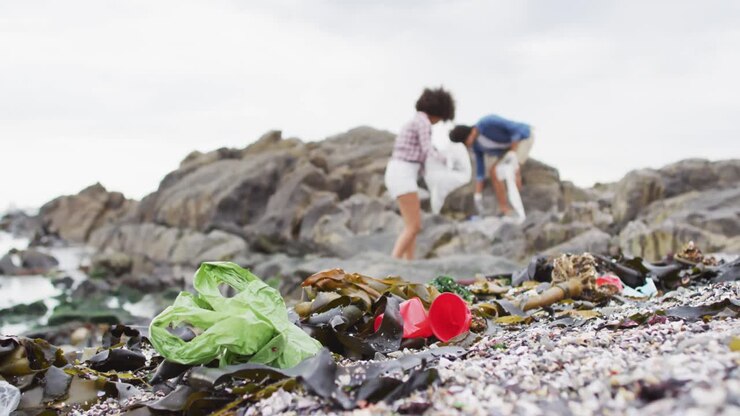 Coppia afroamericana che raccoglie rifiuti sugli scogli vicino al mare