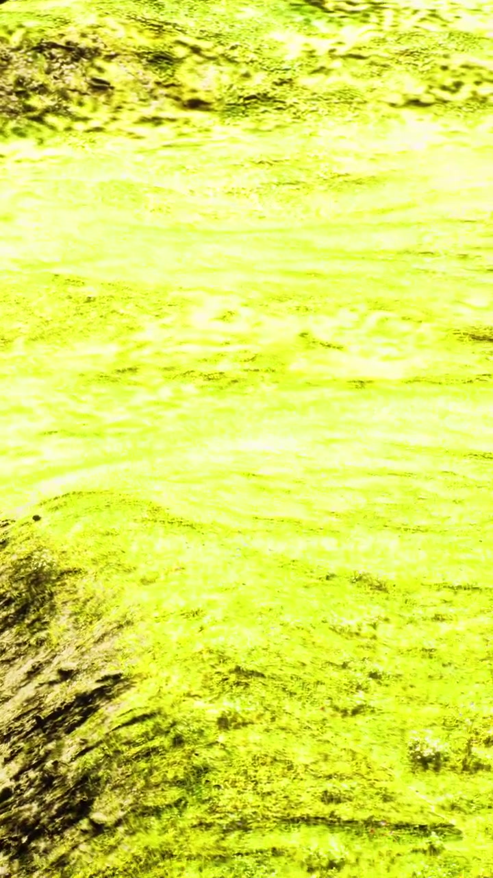 Agua de un verde intenso fluye sobre rocas en un río bajo la luz del sol en la naturaleza