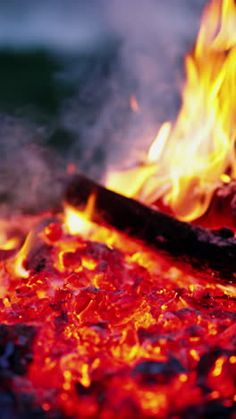 burning fire with sparkles. man breaks burning logs with a stick in the evening. glowing wood in charcoal. red charcoals in fire on dark background. close-up. vertical video