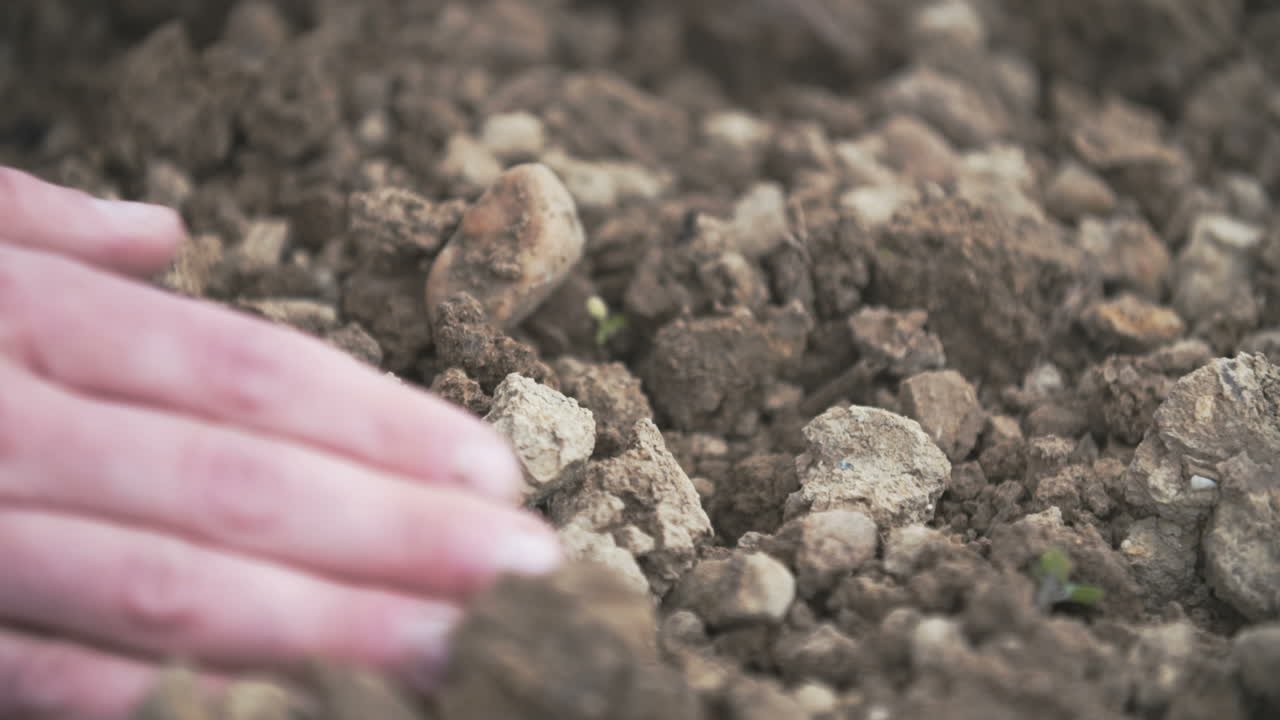 Contadino che esamina il terreno nelle mani nel campo