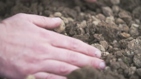 Agricultor-Examinando-El-Suelo-En-Campo-De-Manos