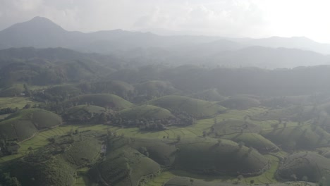 vista aérea de la colina del té de long coc, en vietnam