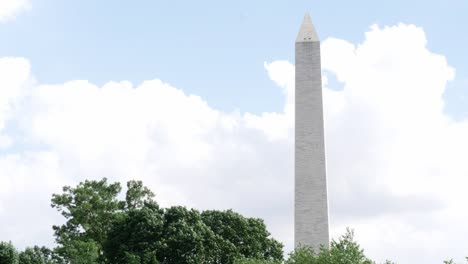 close up of the washington monument through some trees located in washington dc in the usa