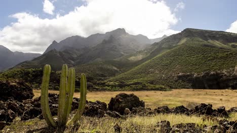 Blick-Auf-Die-Berge-Auf-Gran-Canaria