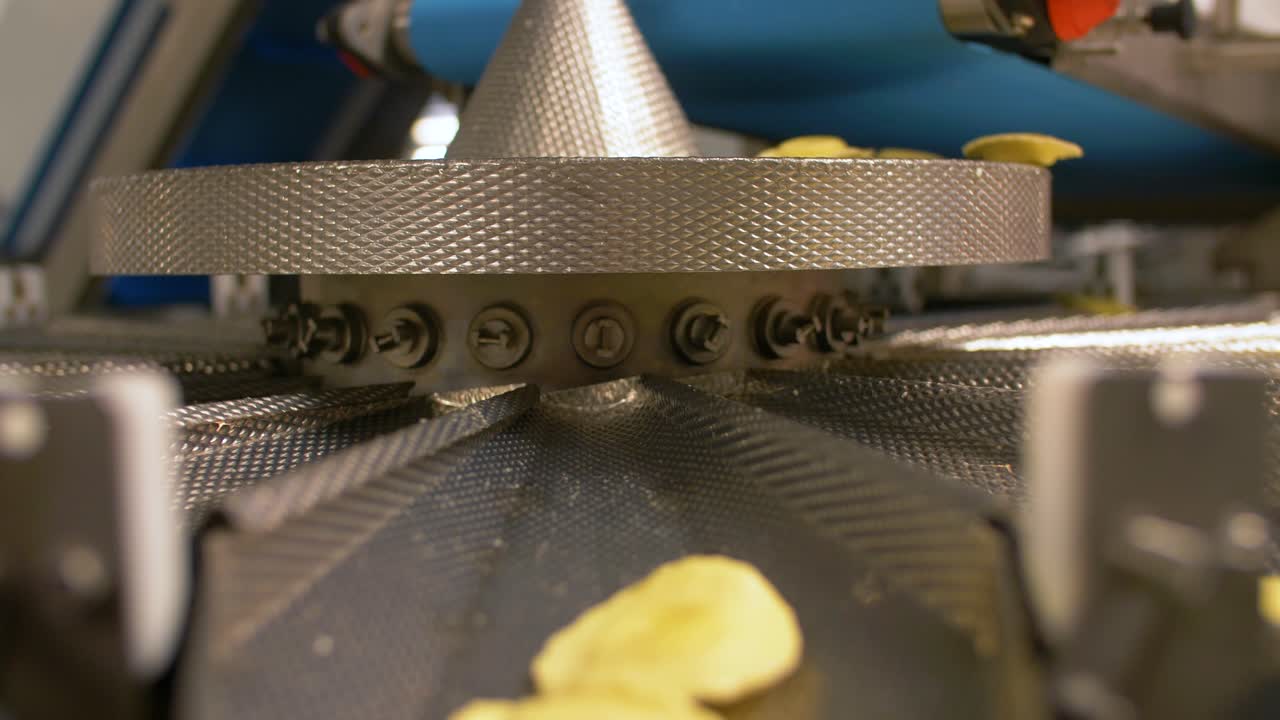 se han producido muchos tipos de pasta de alta calidad en una gran fábrica de pasta moderna