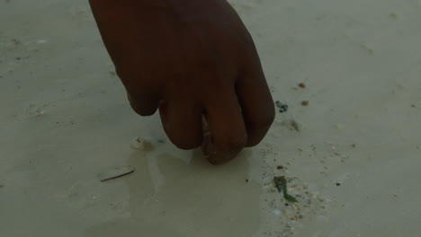 slow motion shot of a shell on the shore being picked up by a young black man