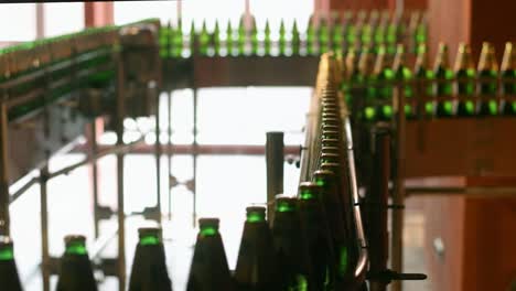 beer bottles at production line at brewery factory. bottles on conveyor belt