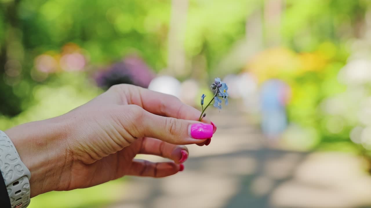 Woman spins small wildflower in fingers, vibrant nail polish, morning park light