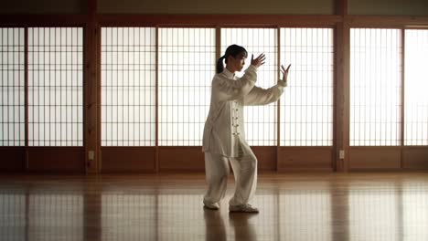 a serene practice of tai chi: capturing the graceful movement and fluidity in traditional martial arts in a tranquil studio environment