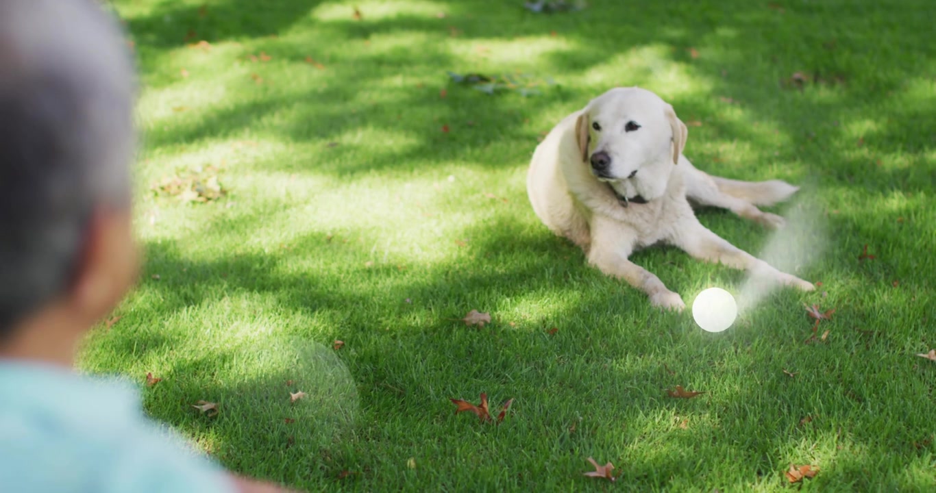 Senior man shifting gaze at dog causing AR overlay with floating circles triangles obscuring view