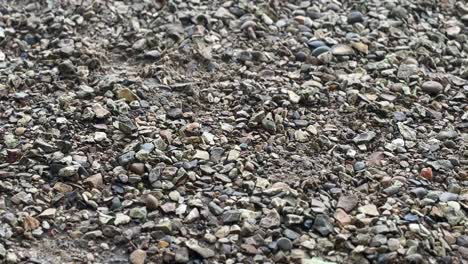 a detailed close-up of natural, rugged base gravel, showcasing its rich texture and diverse mix of earthy tones. perfect for illustrating construction, landscaping, and outdoor stability.