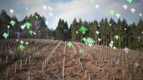 woodland marked with pits dug for tree plantation