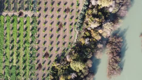 Rural-Natural-Gray-River-Aerial-Drone