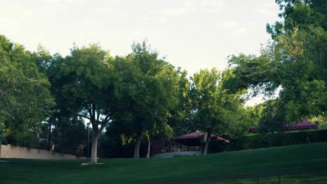 serene park-like setting with lush greenery and gazebo