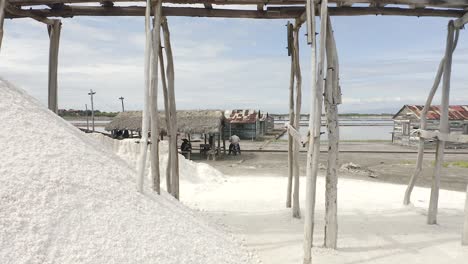 risky flight between the sticks that support the rails that go to the salt deposit in salinas, bani dominican republic