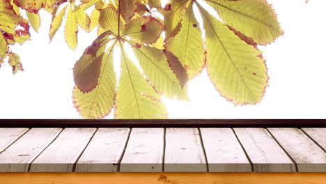 wooden plank against autumn leaves 4k