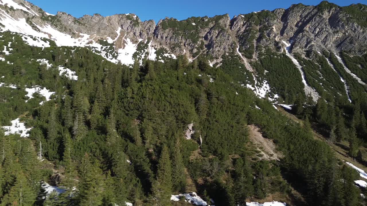 tomada de un avión no tripulado de un bosque de pinos con una cordillera y nieve en el fondo, austria, europa