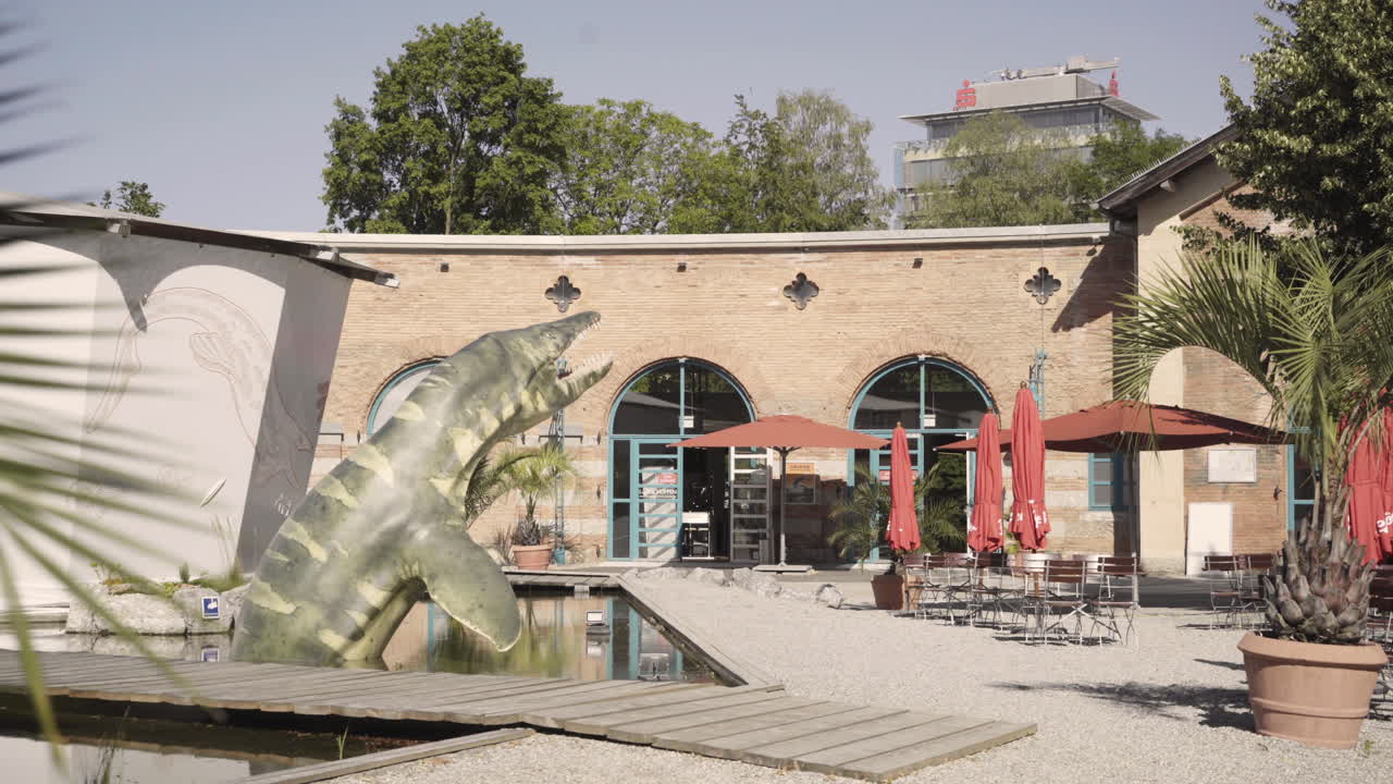 A smooth long gimbal shot of the dinosaur exhibition
focussing on the entrance of the museum with a palm tree
branch as foreground element in Rosenheim city