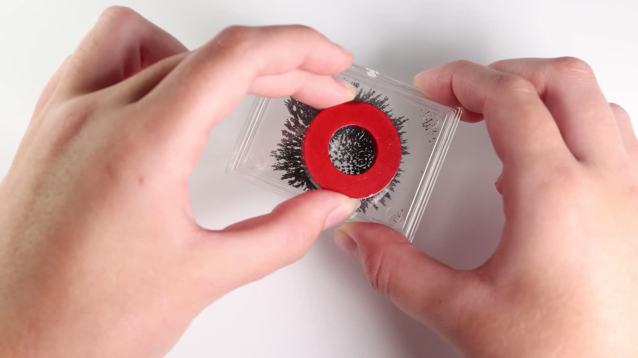 Hands manipulate magnets over iron filings, demonstrating magnetic attraction and repulsion in a clear, well-lit setting