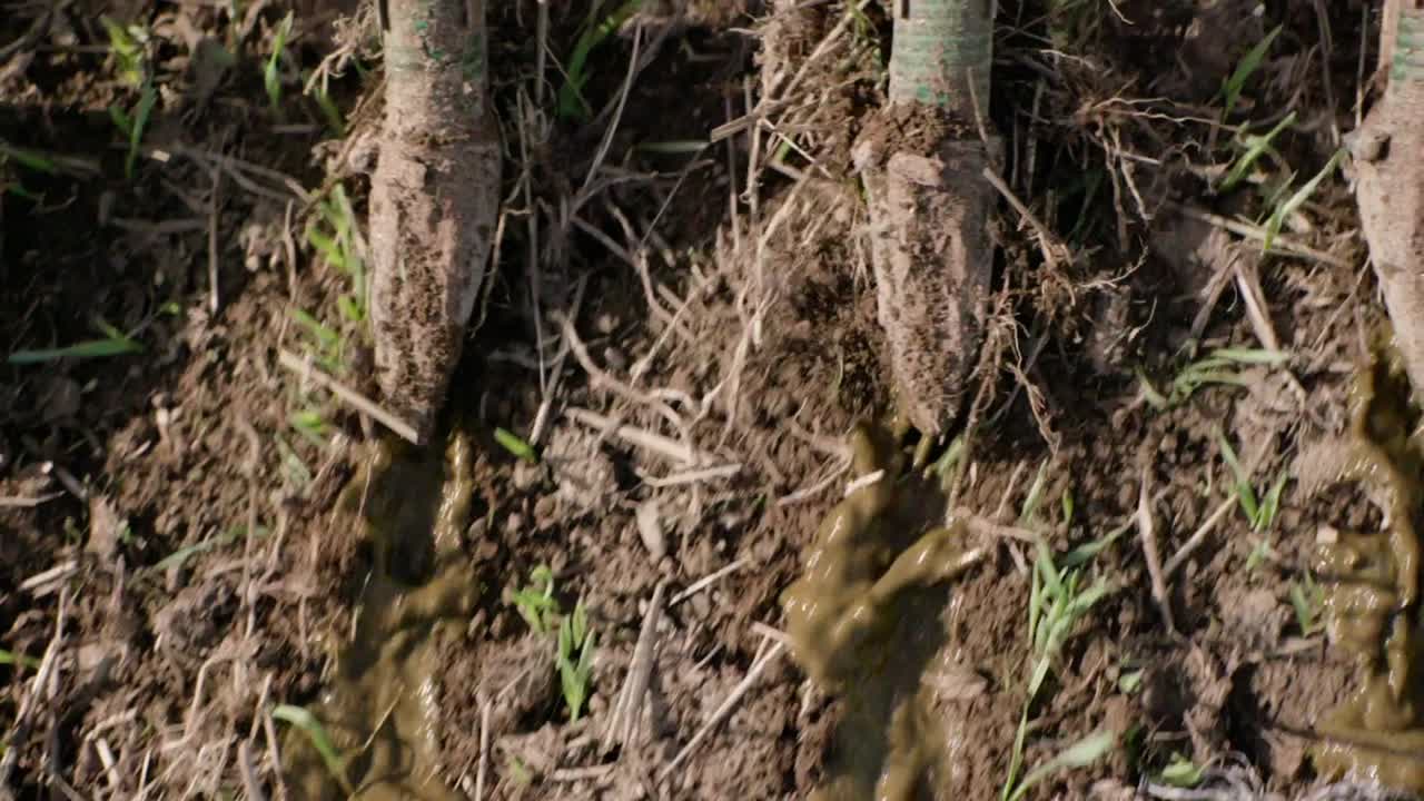 esparcidor de estiércol líquido que libera lodo en el campo de cerca en cámara lenta