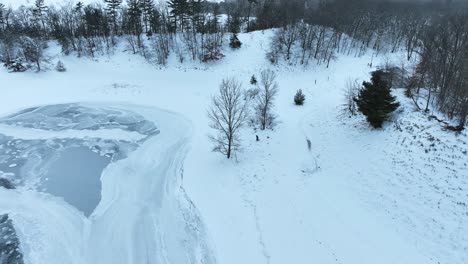 a man walking a dog along a frozen lake