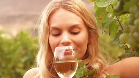 smiling blonde smelling wine in slow motion