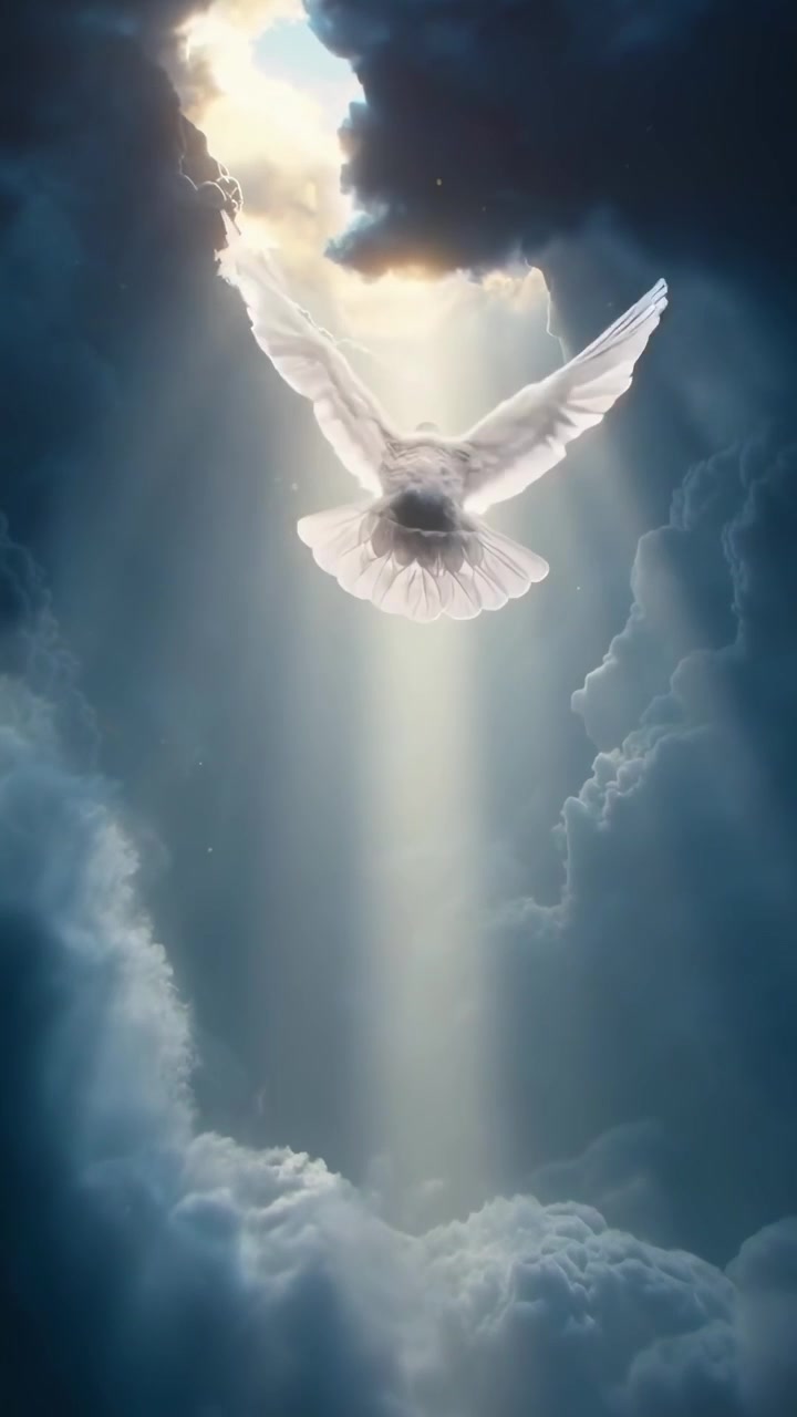 White Dove Flying Through Sunbeams in Cloudy Sky