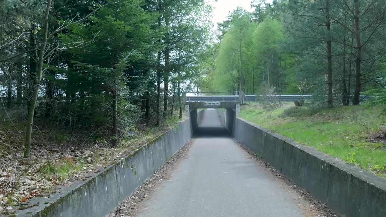 Betonunderføring under en vej i et skovområde