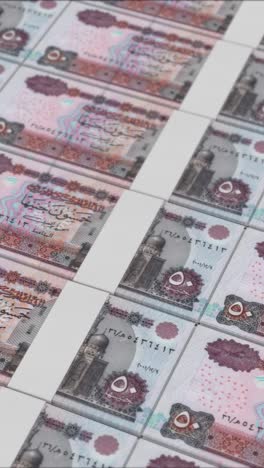 vertical video of 50 egyptian pound banknotes printed by a money press