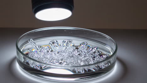 crystal growth experiment under light
