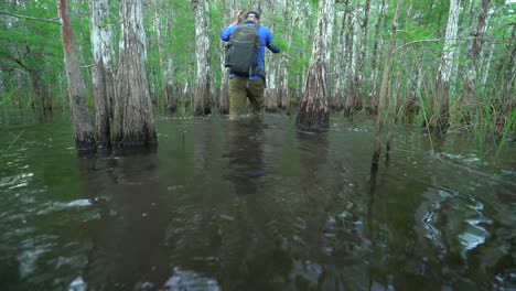 un hombre pasa junto a los árboles del pantano mientras avanza por los everglades de florida