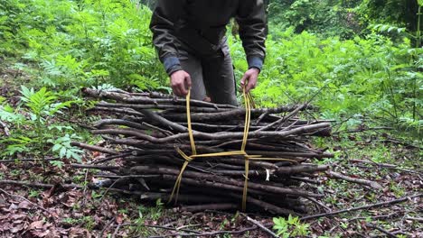 a man tie rope knot to pack dry wooden tree branch wood stick in forest to burn at home for cooking bake traditional hot fresh delicious bread in mud clay oven outside countryside rural village Iran