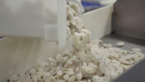 processing shrimp in a food processing plant