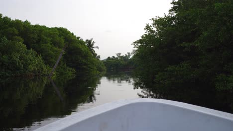 Toma-Pov-Desde-Un-Bote-Pequeño-De-Un-Río-En-El-Manglar-La-Ventanilla,-Oaxaca