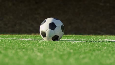 eine fußballmannschaft feiert nach einem tor
